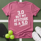 3.0 But My Attitude Is A 5.0 T-Shirt